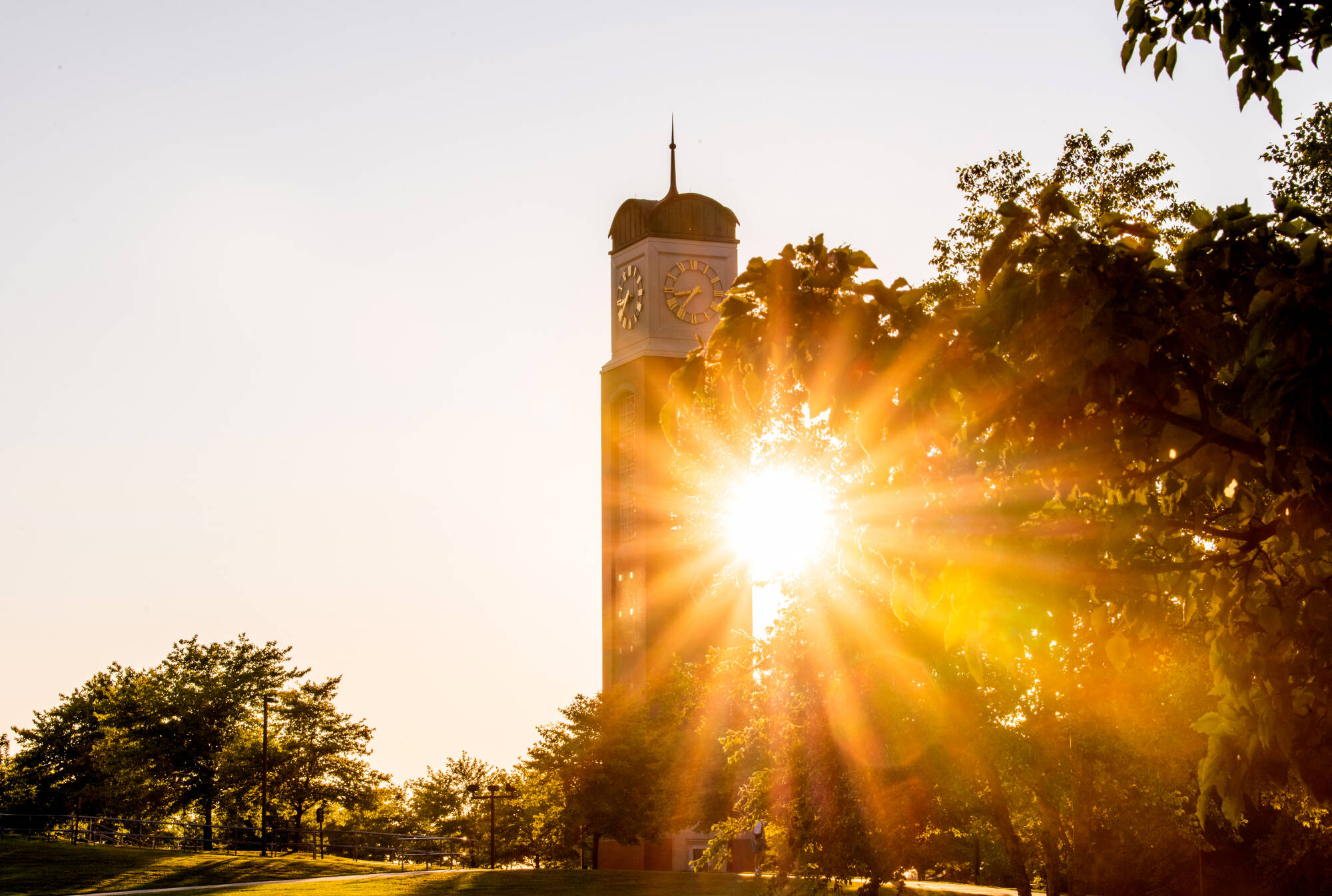 Sun peeking through the GVSU clocktower and trees.